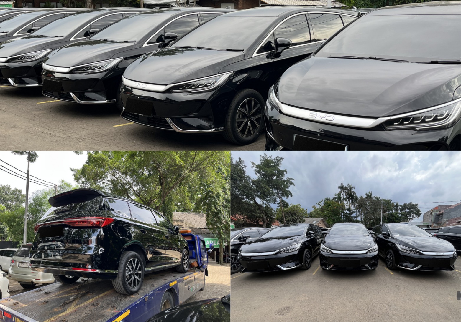 MPV Rental - BYD M6 2025 (EV)